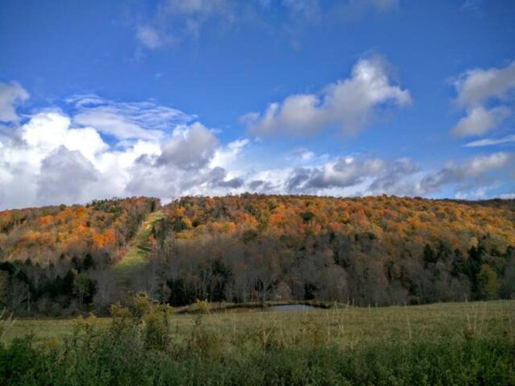 Endless Mountain Resort Union Dale Exterior foto
