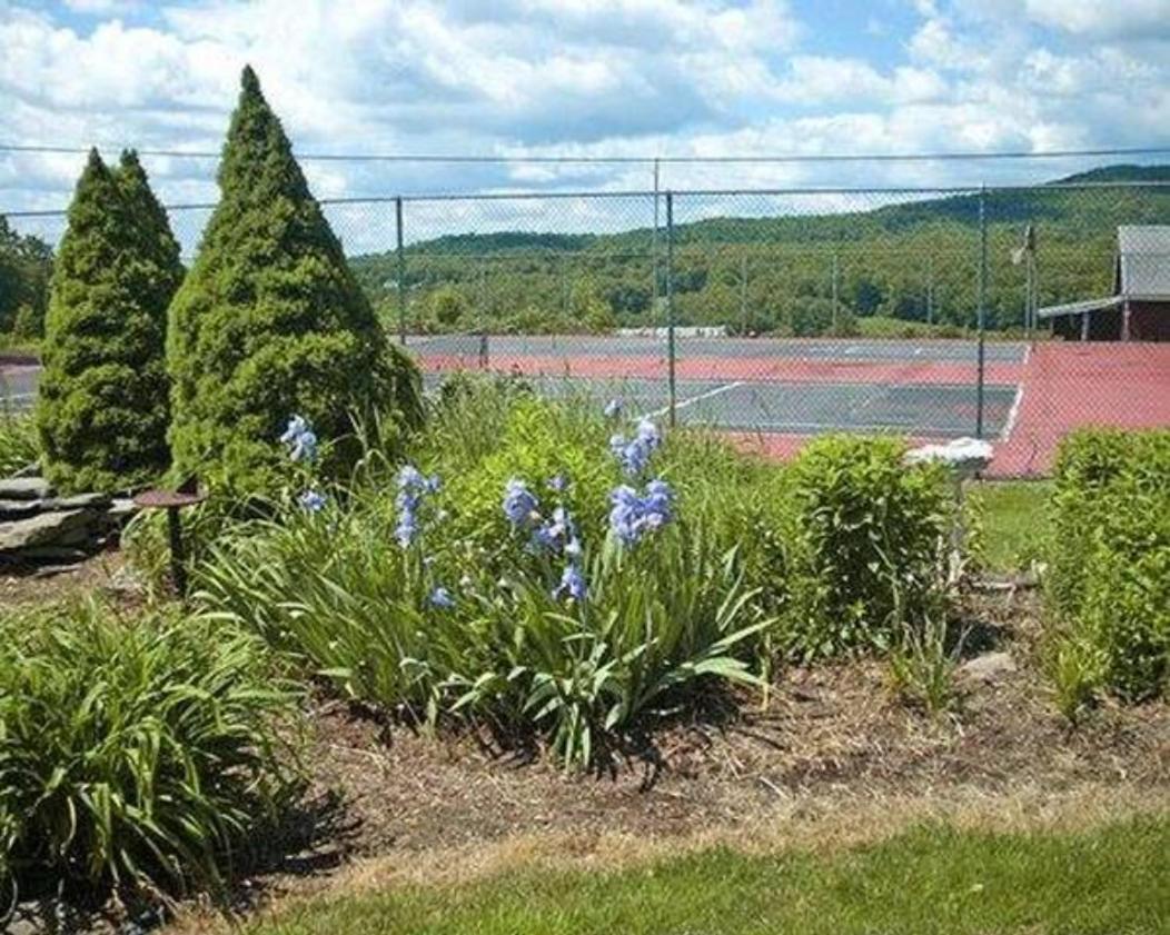 Endless Mountain Resort Union Dale Exterior foto